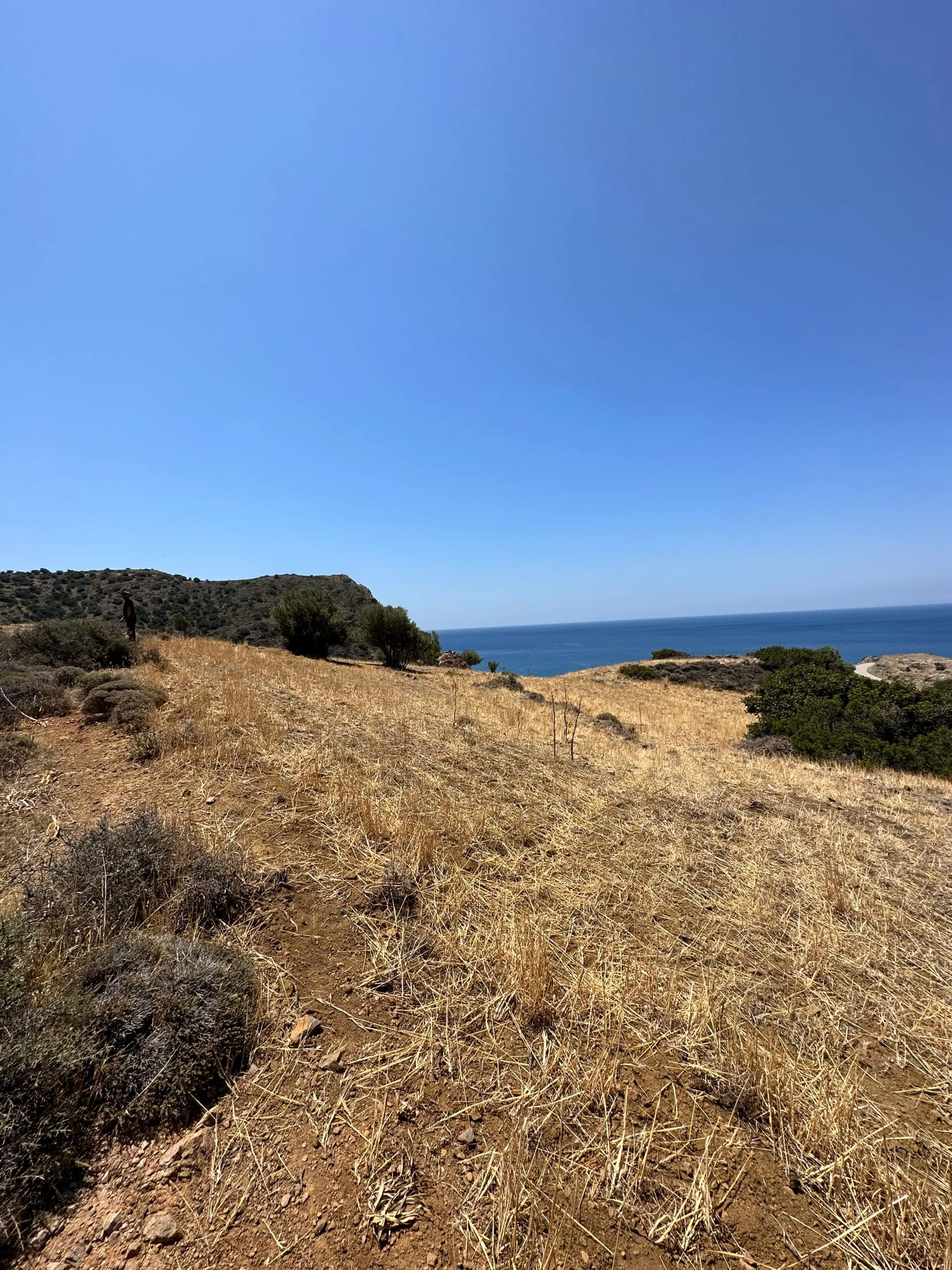 image00006 Land of 5.700 sqm in Triopetra.