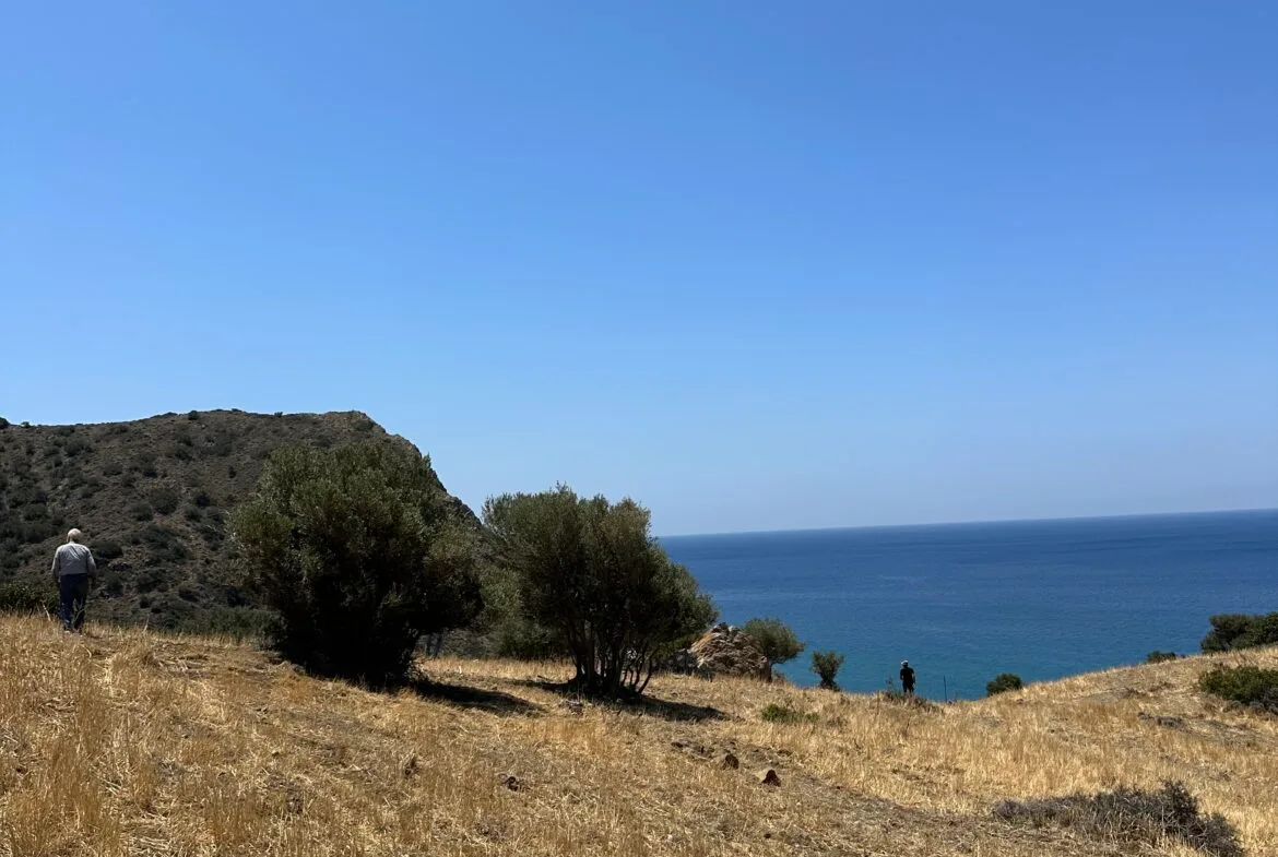 Land of 5.700 sqm in Triopetra.