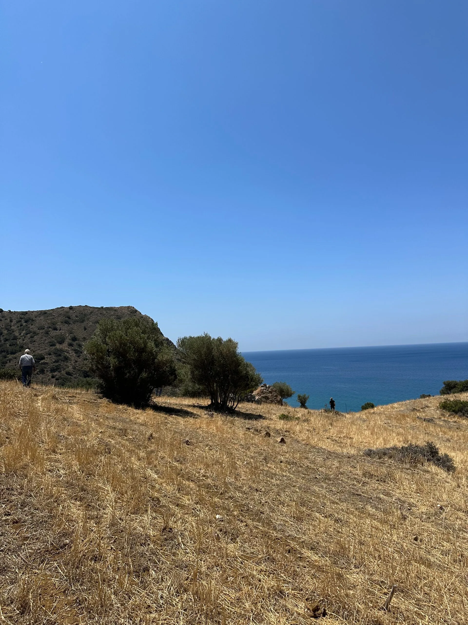 image00009 Land of 5.700 sqm in Triopetra.