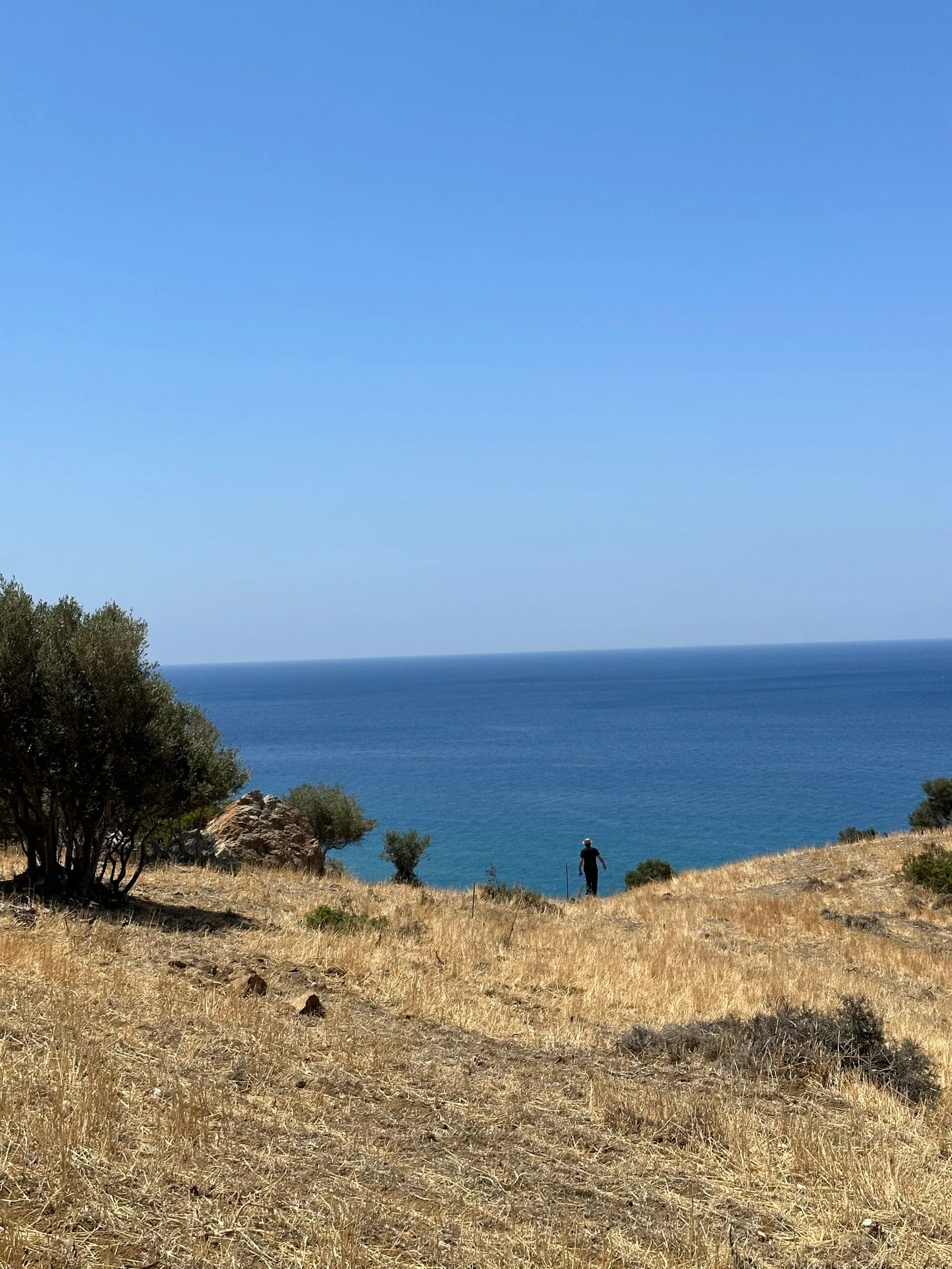 image00010 Land of 5.700 sqm in Triopetra.