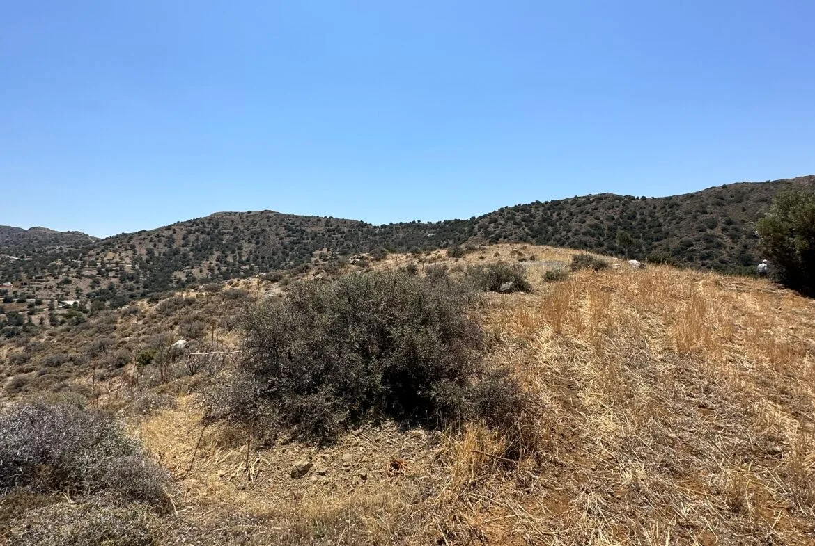 Land of 5.700 sqm in Triopetra.