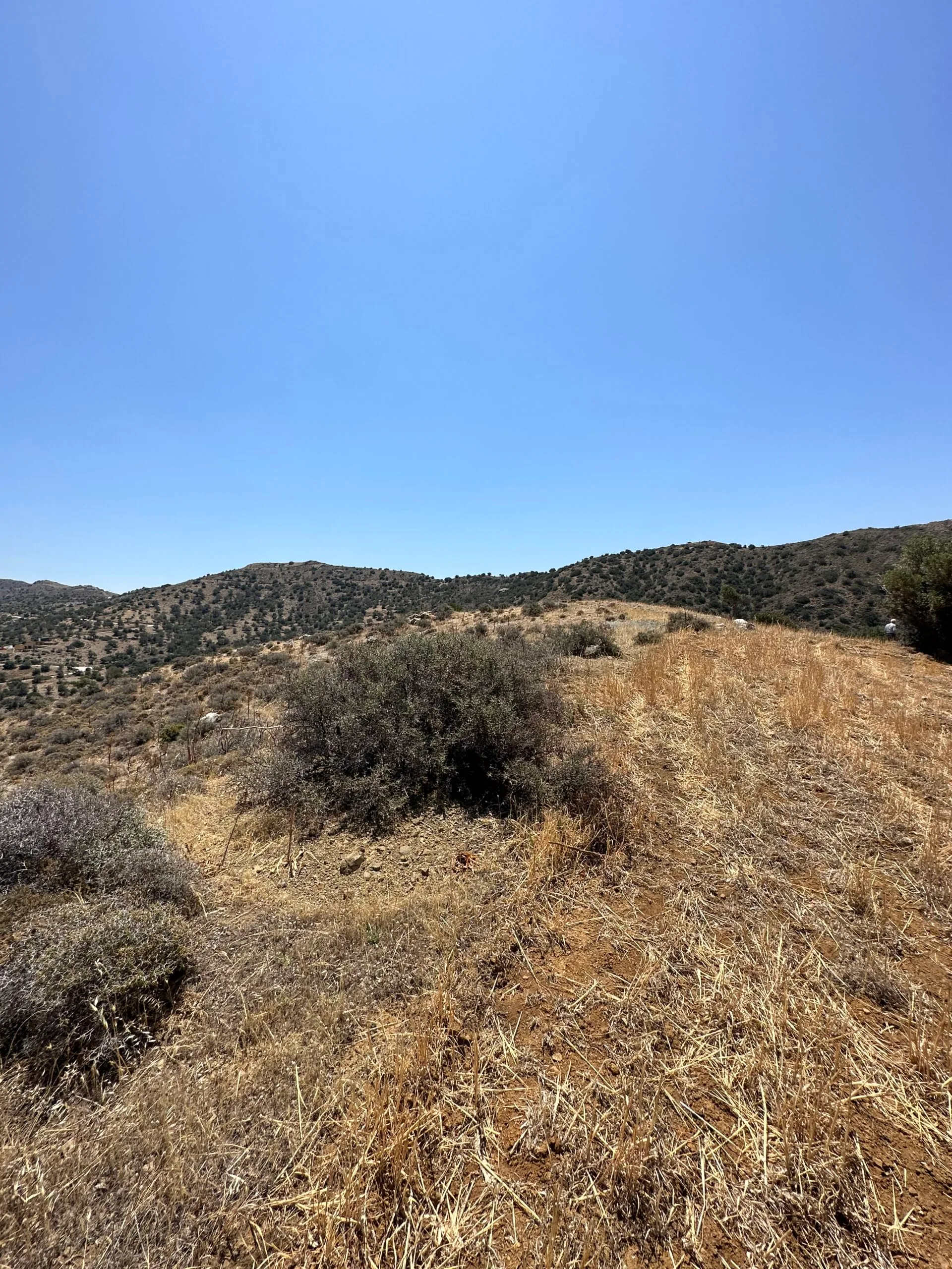 image00015 Land of 5.700 sqm in Triopetra.