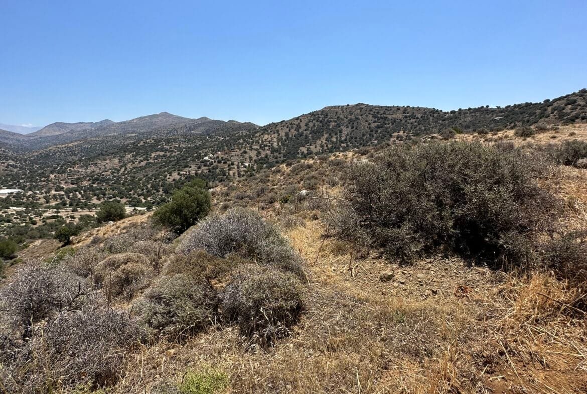Land of 5.700 sqm in Triopetra.