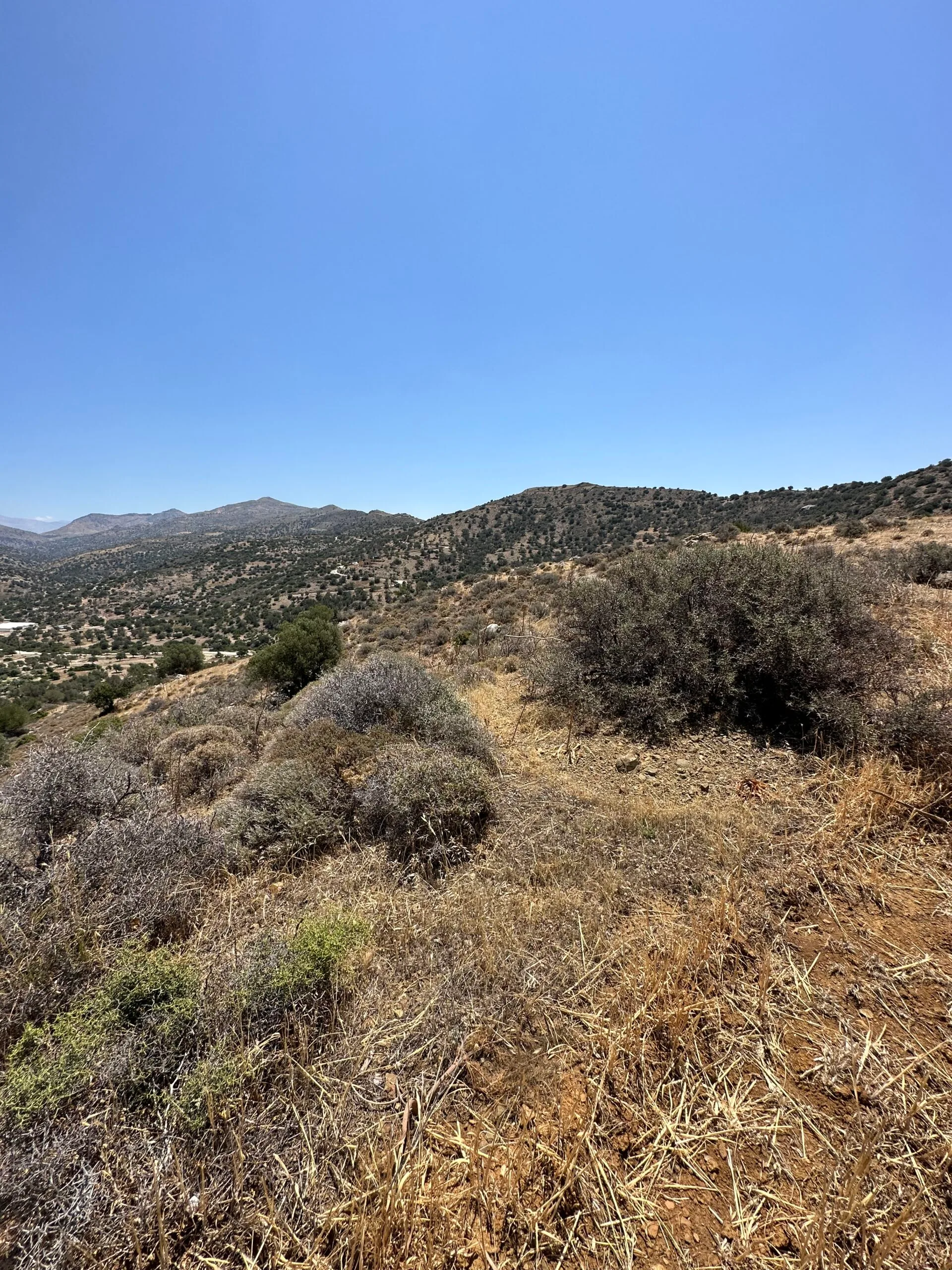 image00016 Land of 5.700 sqm in Triopetra.