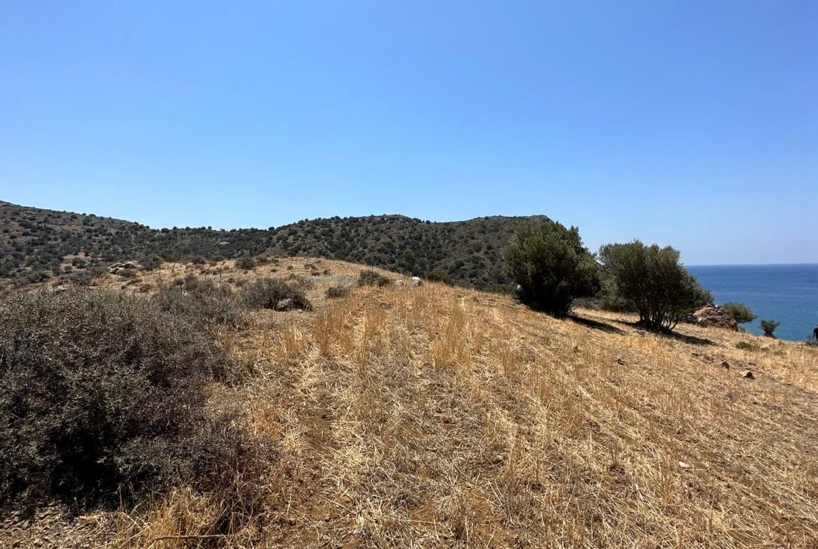 Land of 5.700 sqm in Triopetra.