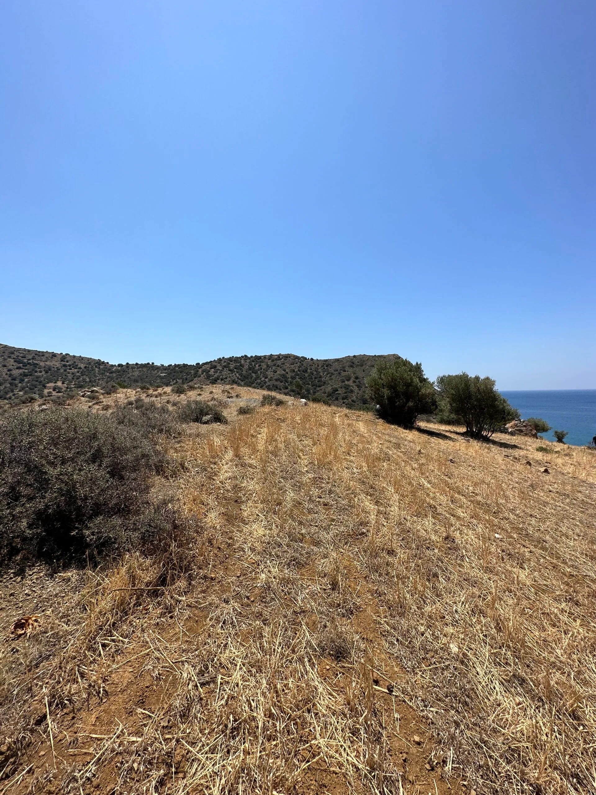 image00018 Land of 5.700 sqm in Triopetra.