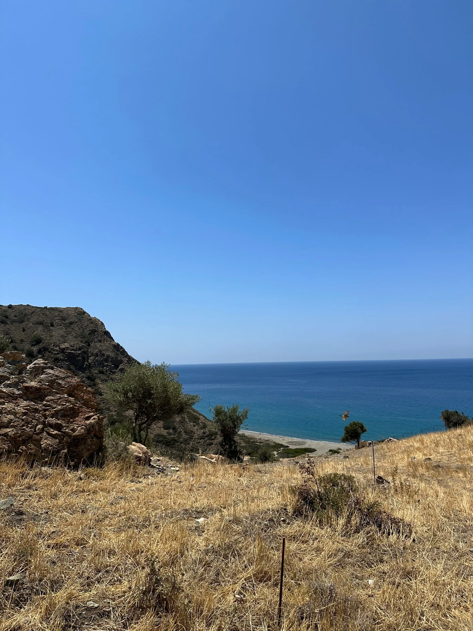 image00020 Land of 5.700 sqm in Triopetra.