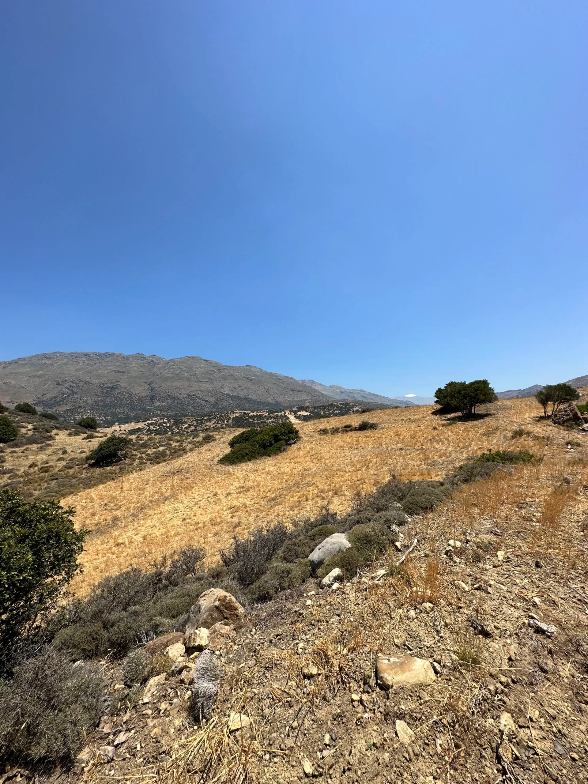 image00027 Land of 5.700 sqm in Triopetra.
