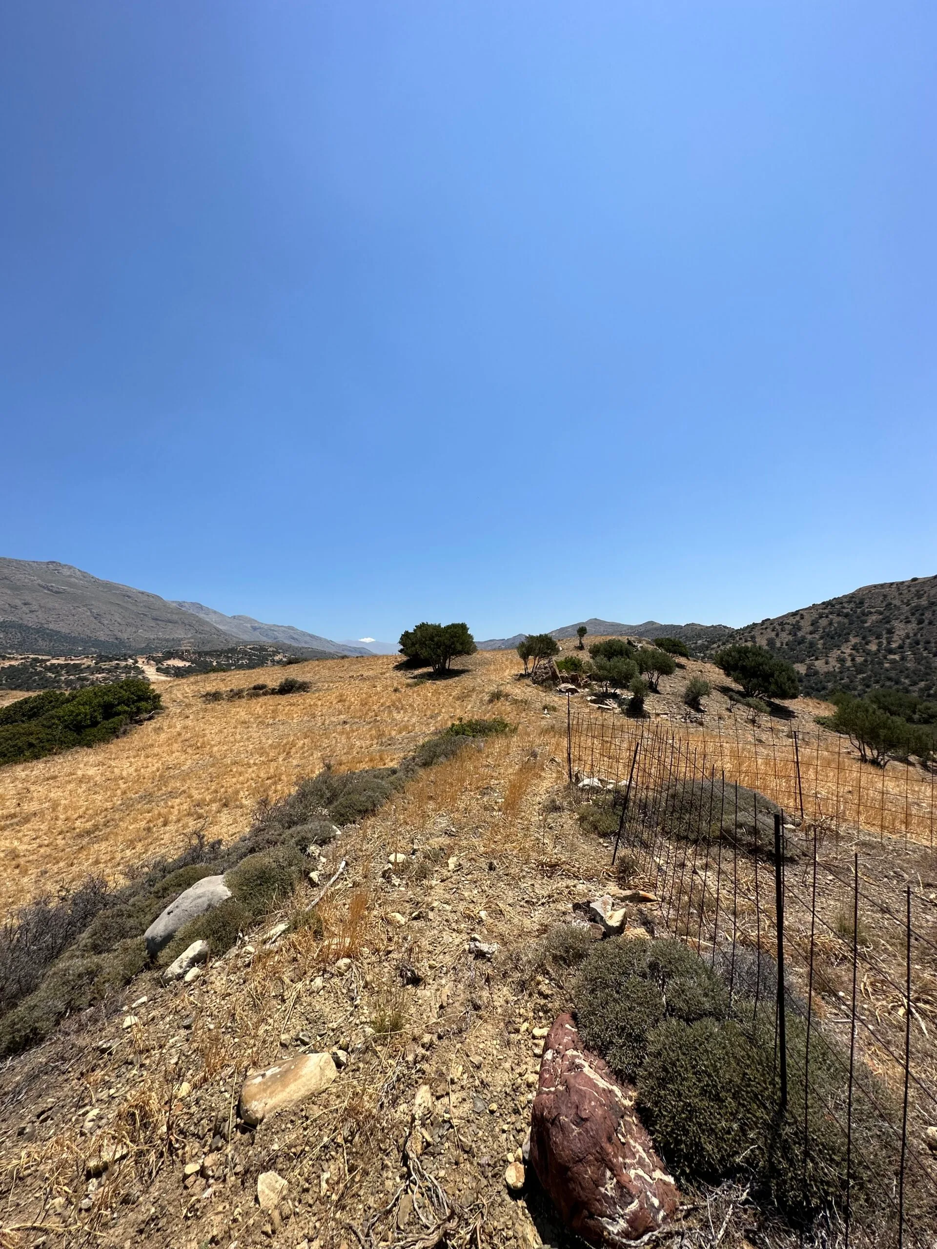image00028 Land of 5.700 sqm in Triopetra.