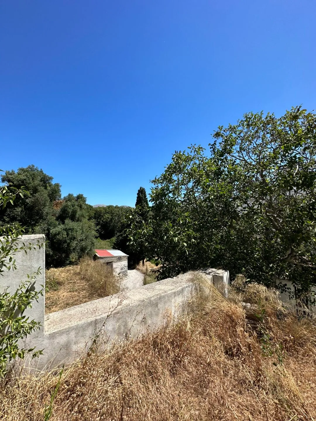image00009 Plot of 210 sqm with building in the village of Vatos.