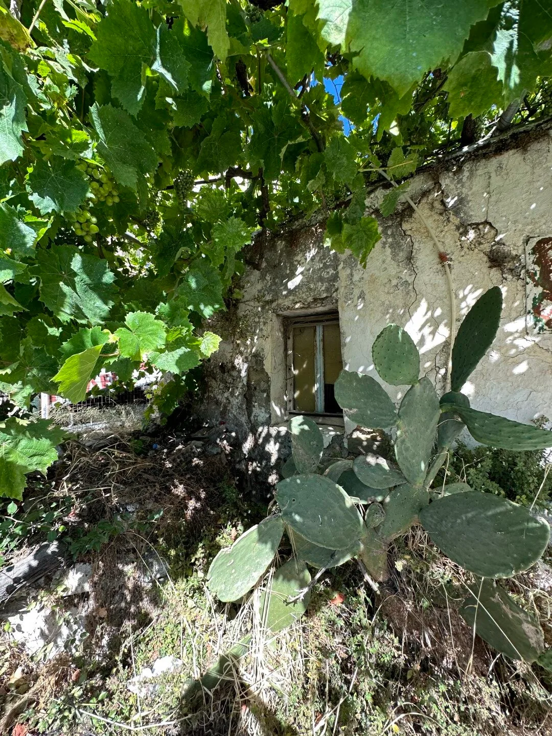 image00018 Old building and plot in Kissou Kampos village.