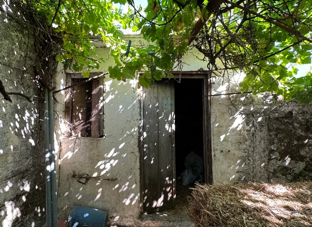 Old building and plot in Kissou Kampos village.