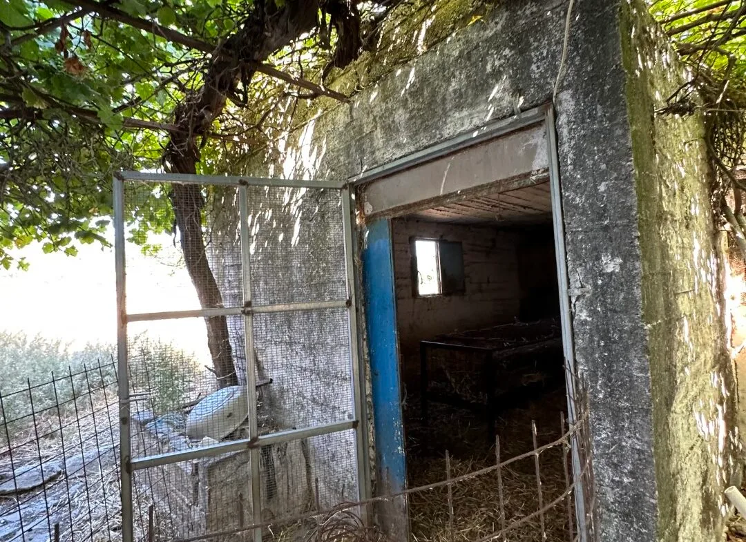 Old building and plot in Kissou Kampos village.