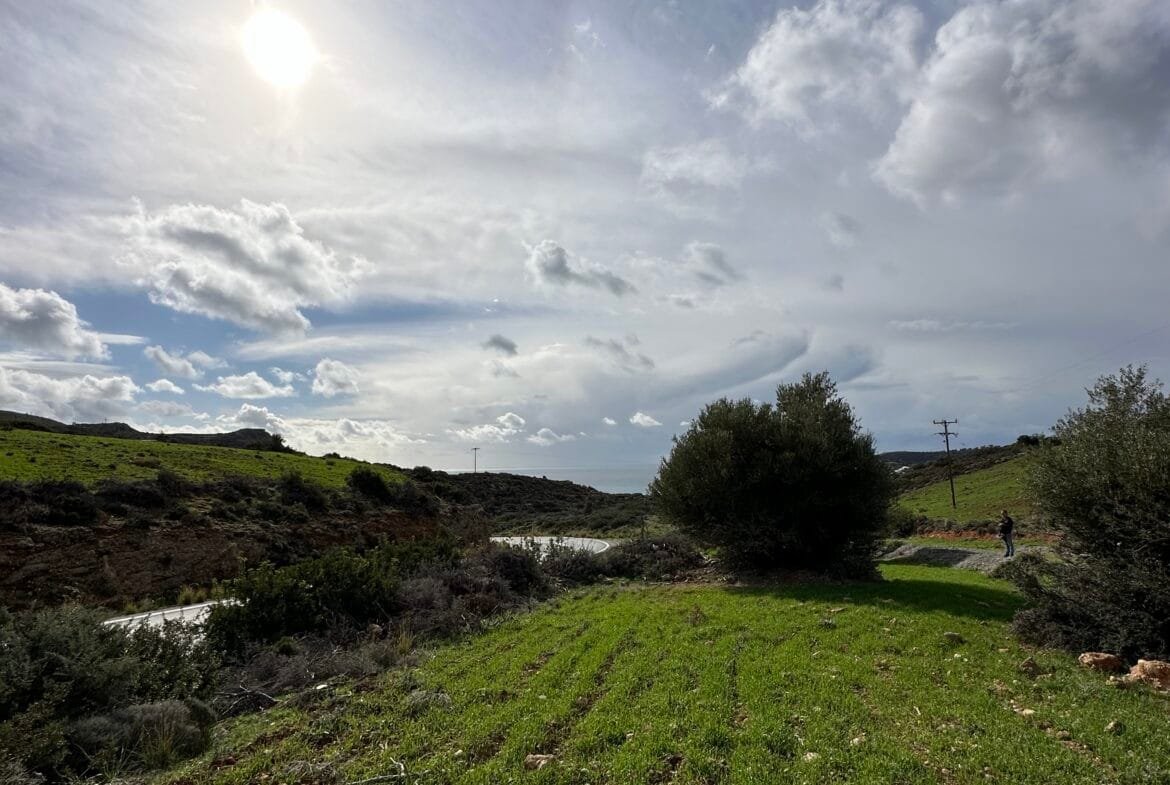 Plot of 7.145 sqm in Agia Galini.