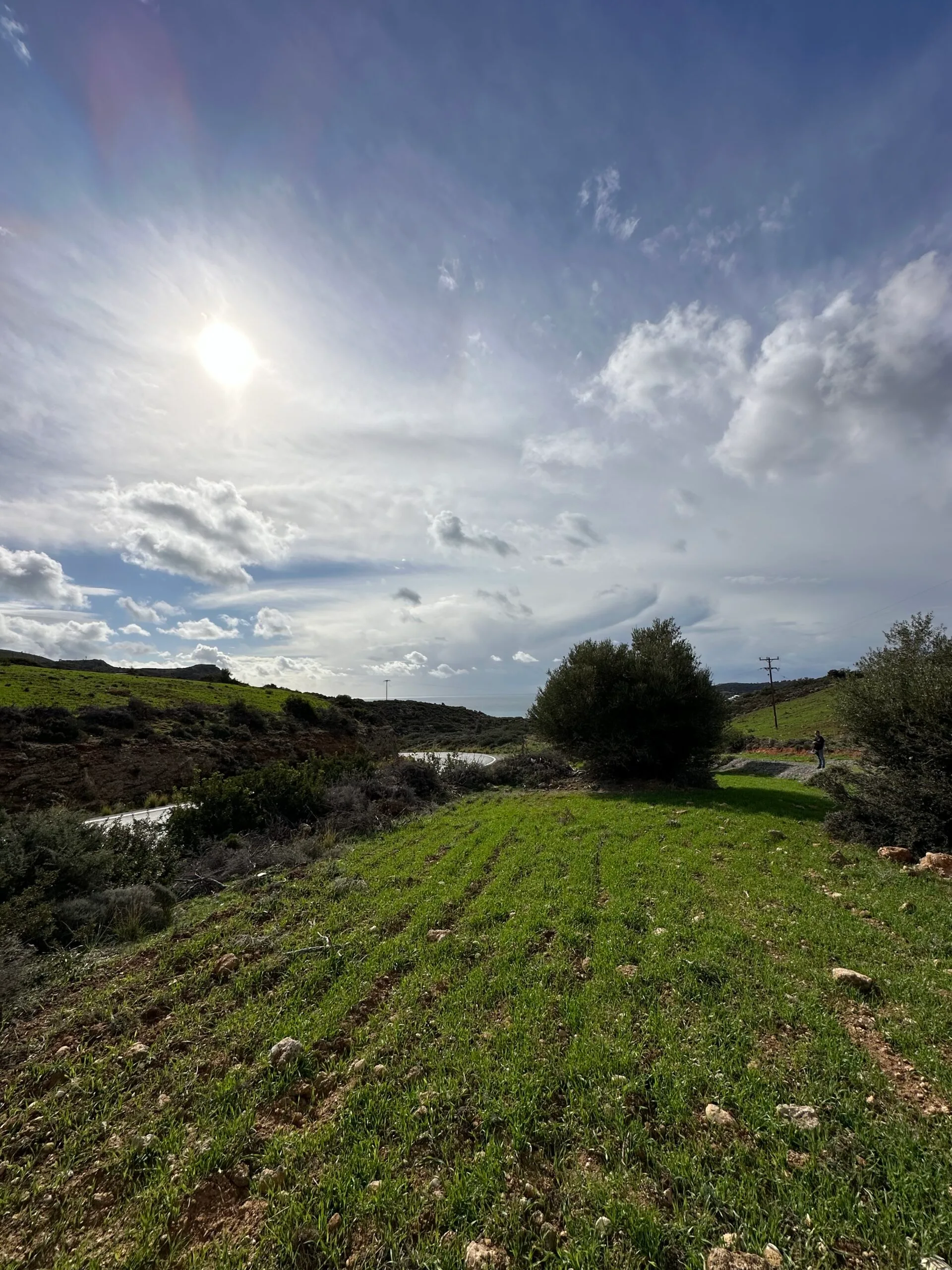 Plot of 7.145 sqm in Agia Galini.
