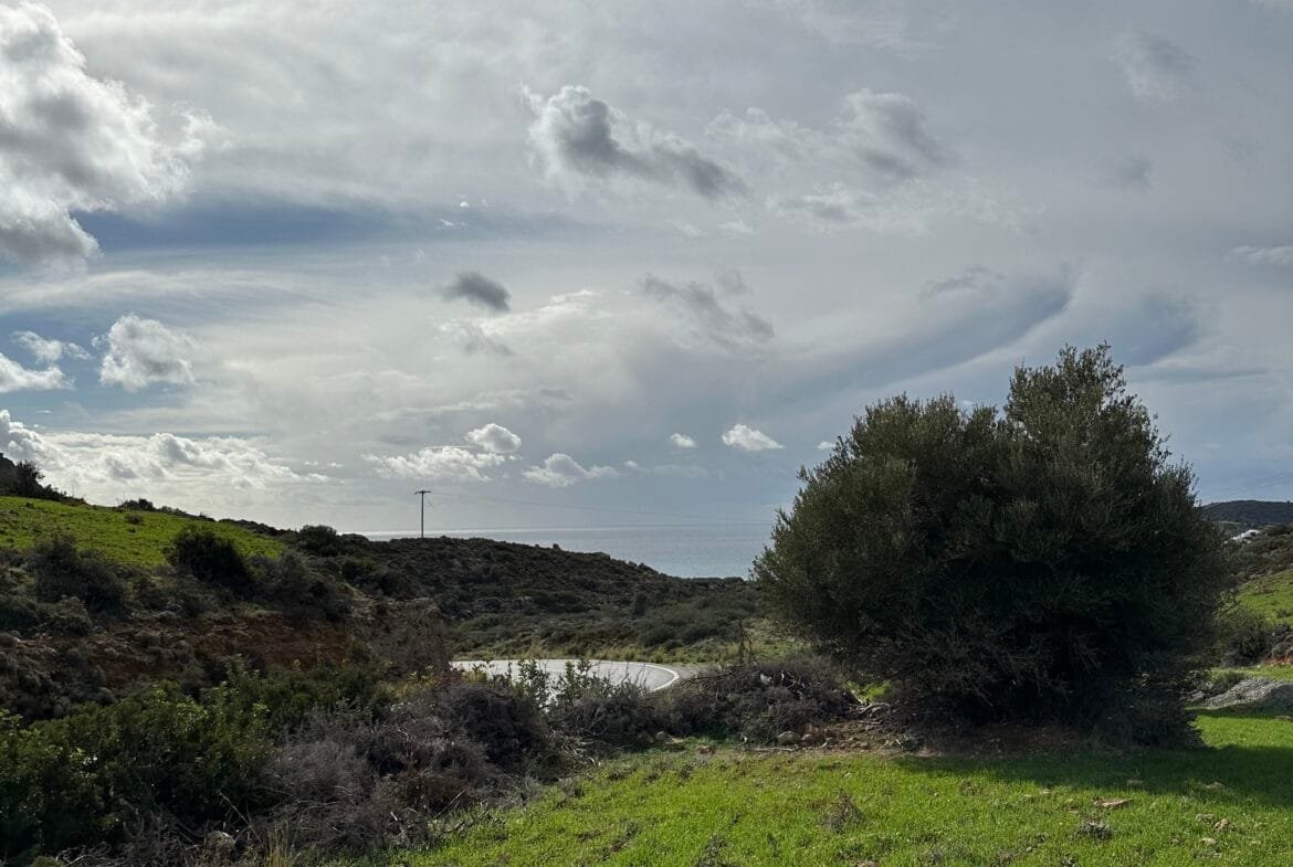 Plot of 7.145 sqm in Agia Galini.
