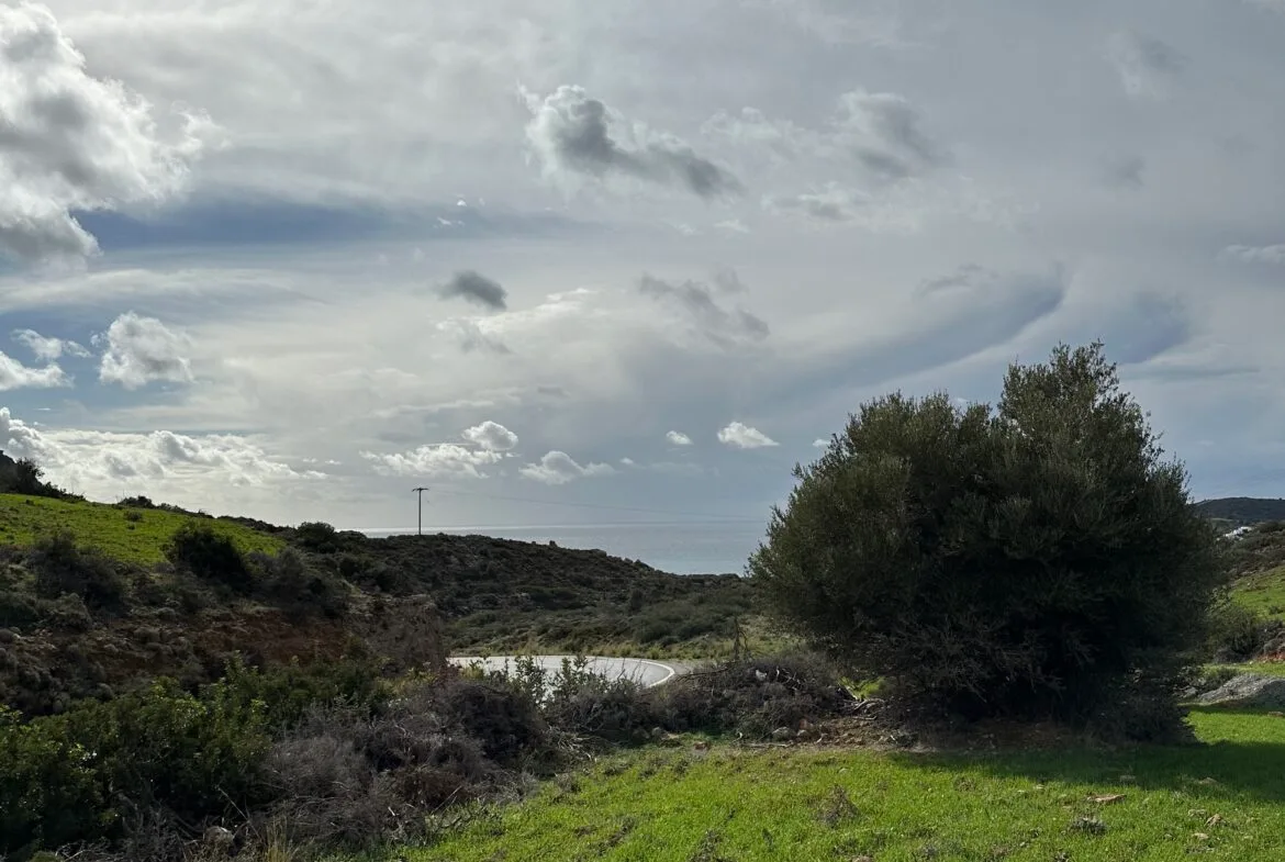 Plot of 7.145 sqm in Agia Galini.
