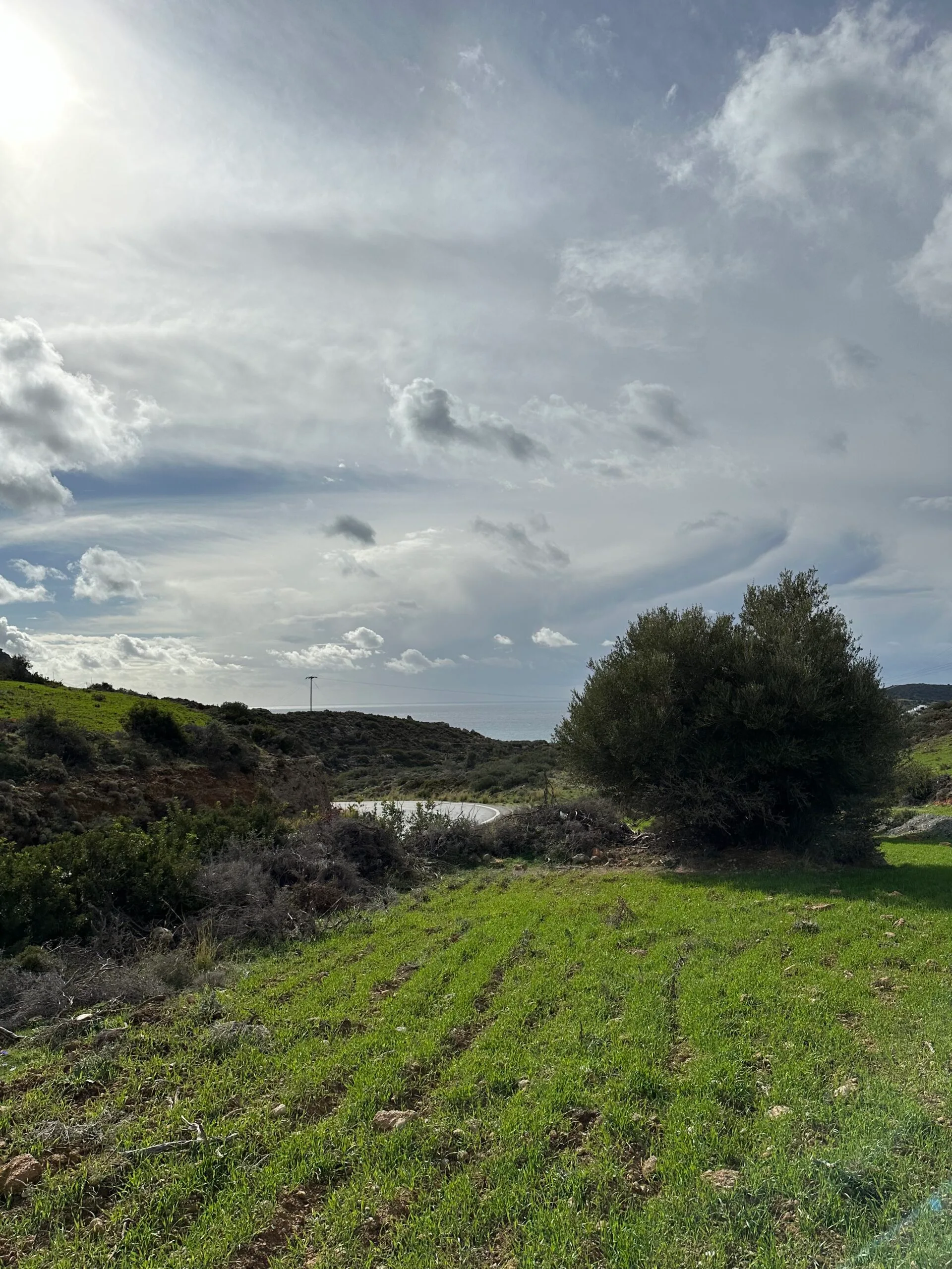 Plot of 7.145 sqm in Agia Galini.