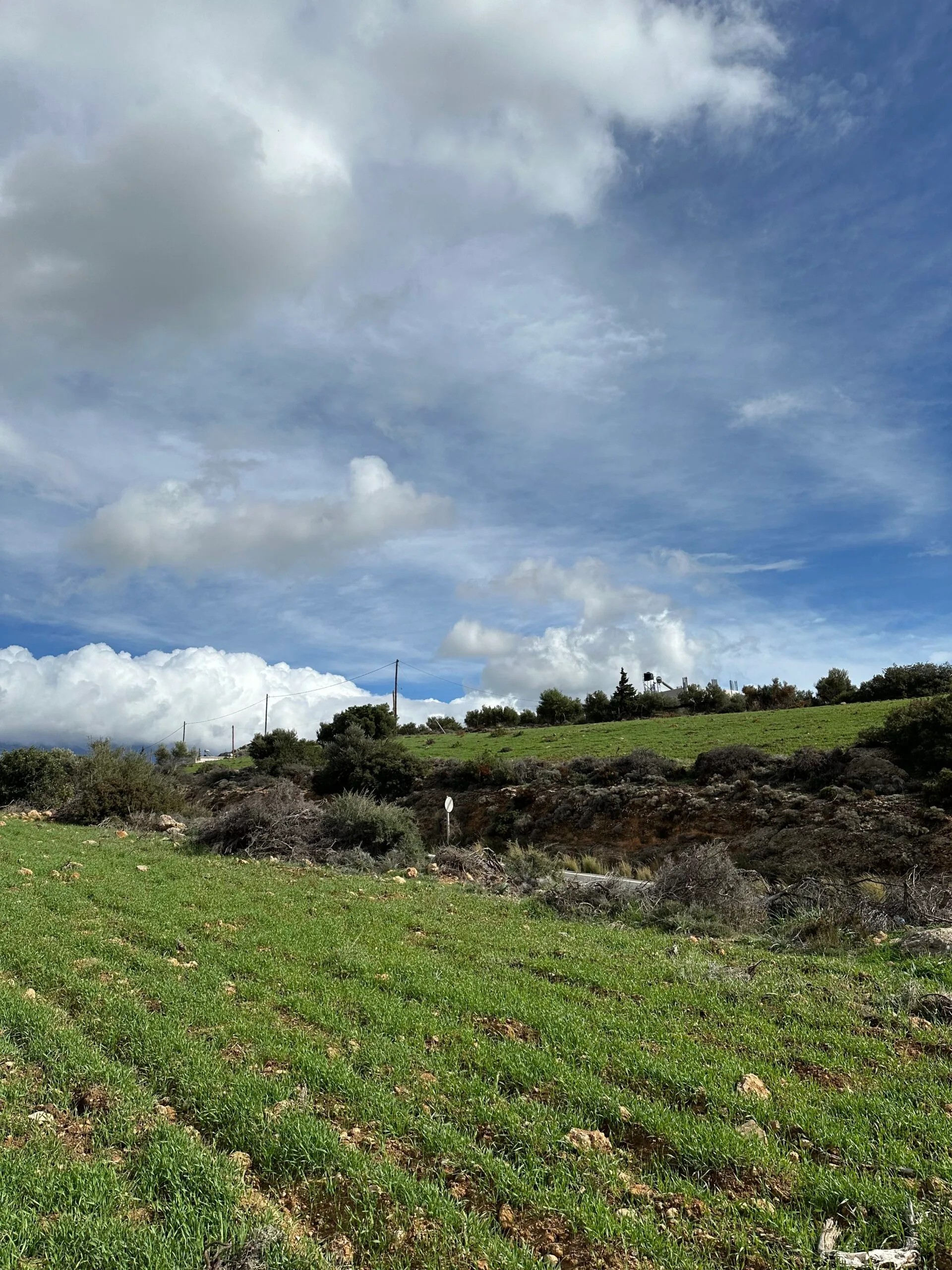 Plot of 7.145 sqm in Agia Galini.