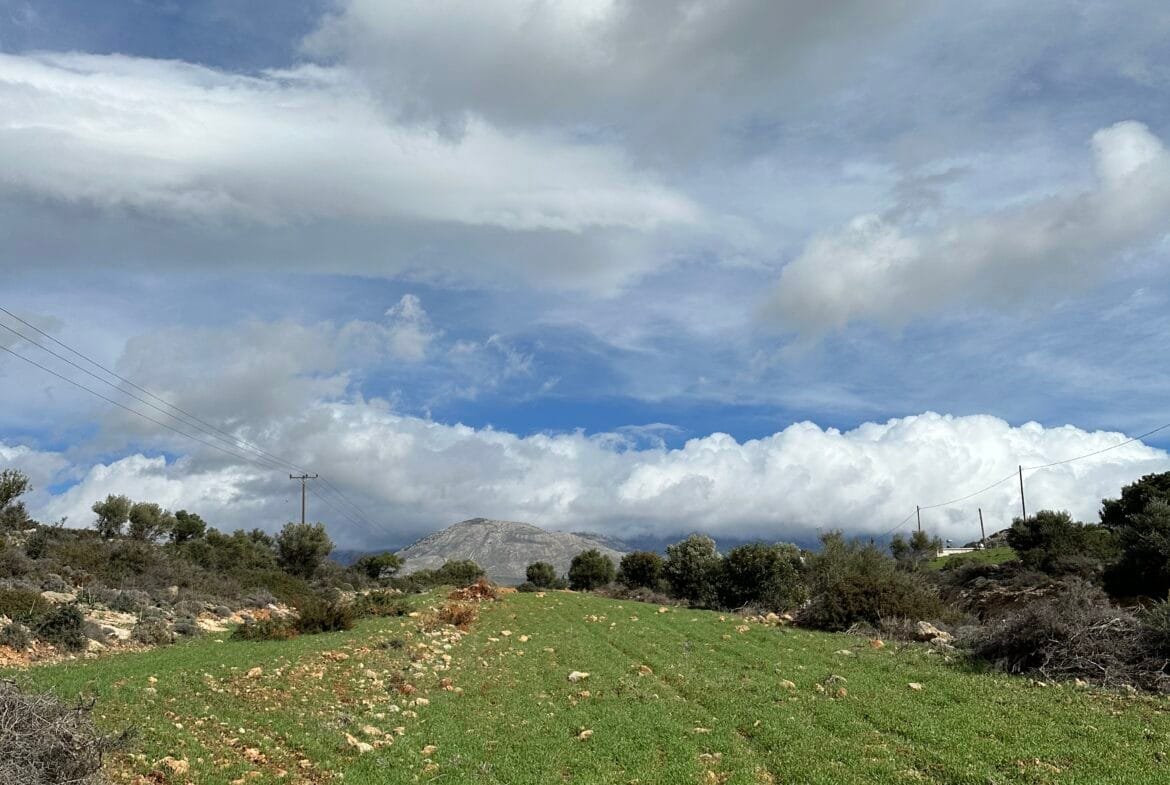 Plot of 7.145 sqm in Agia Galini.