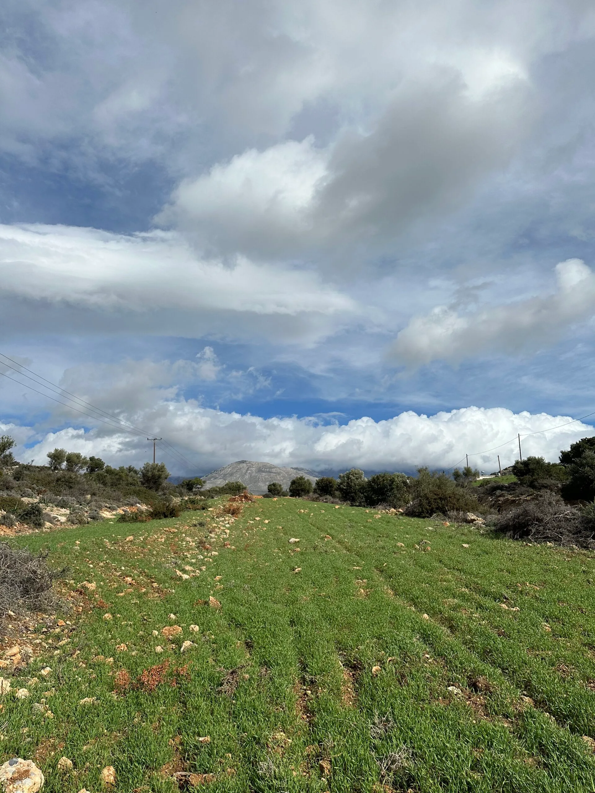 Plot of 7.145 sqm in Agia Galini.