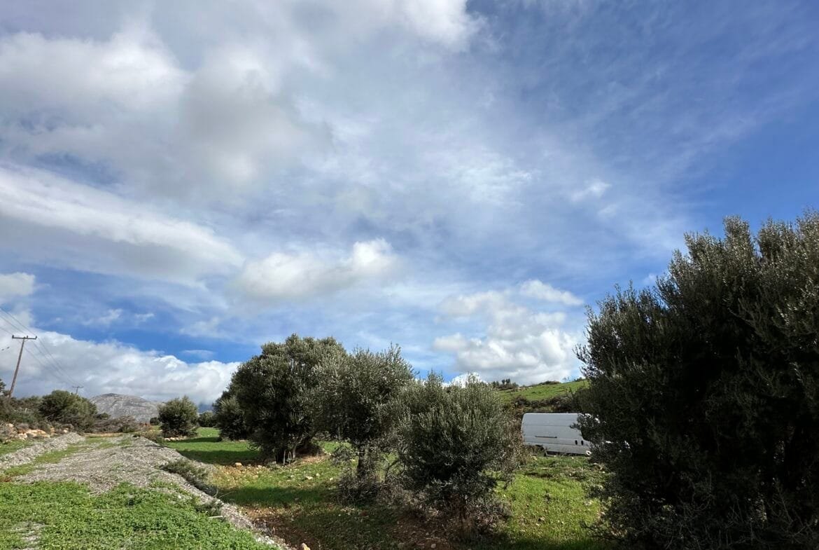 Plot of 7.145 sqm in Agia Galini.