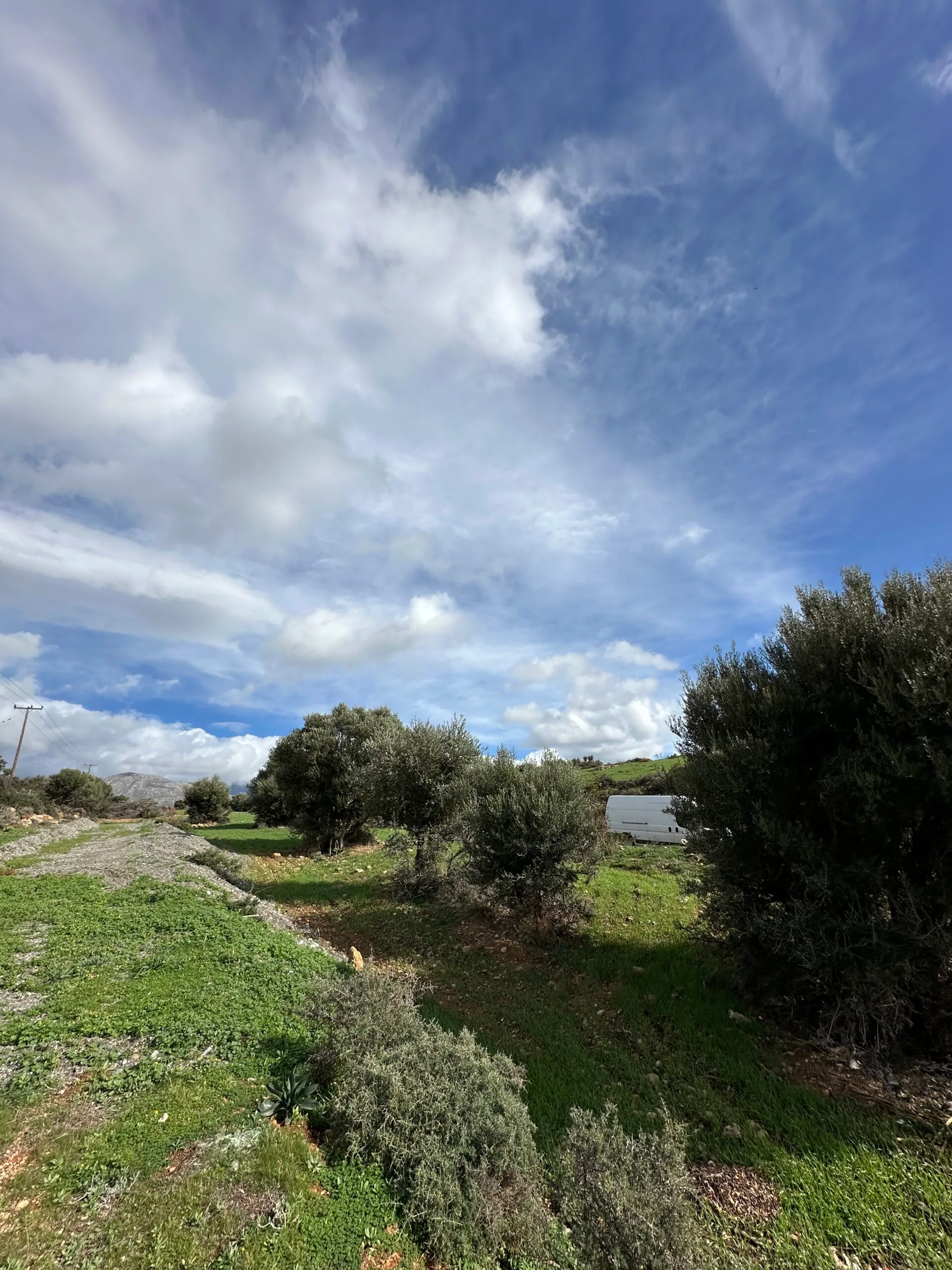 Plot of 7.145 sqm in Agia Galini.