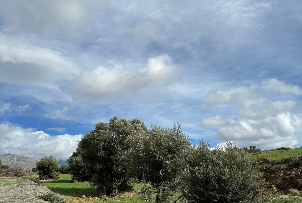 Plot of 7.145 sqm in Agia Galini.