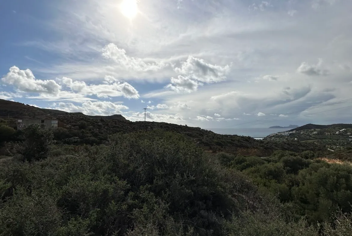 Plot of 7.145 sqm in Agia Galini.