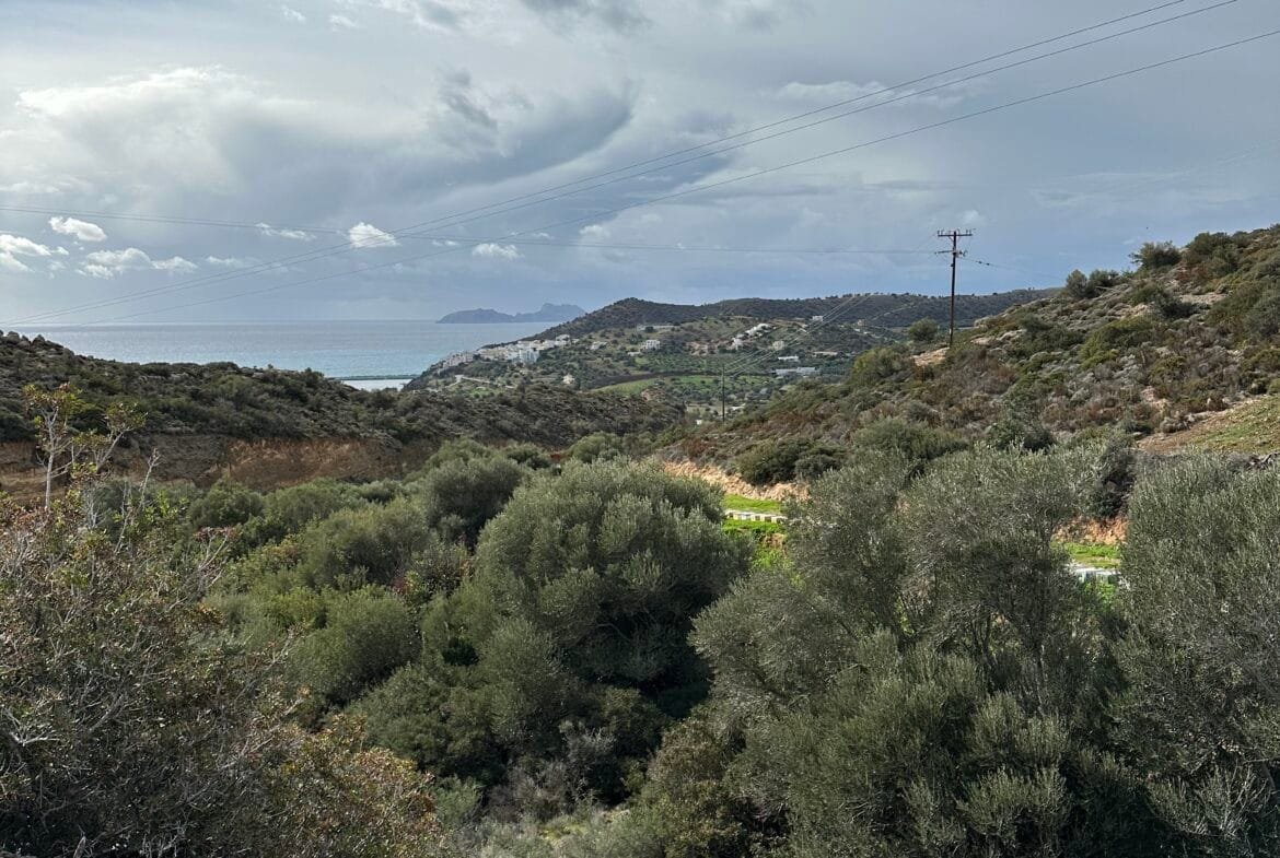 Plot of 7.145 sqm in Agia Galini.