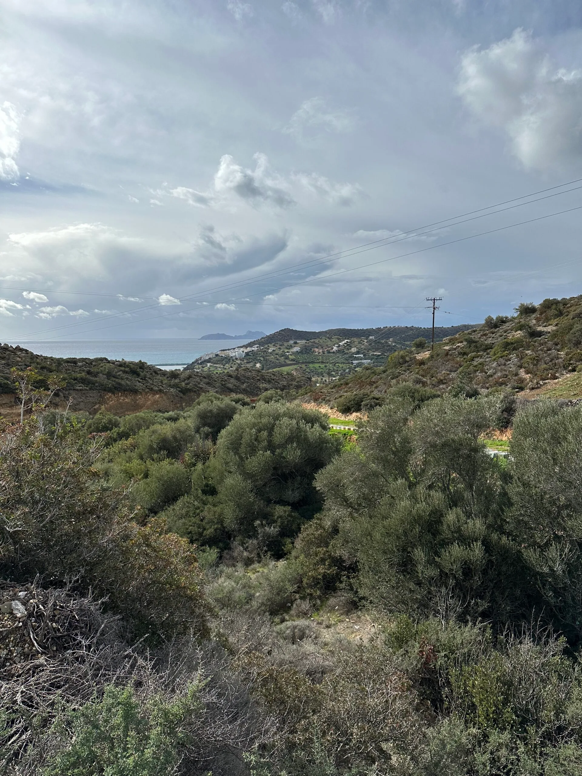 Plot of 7.145 sqm in Agia Galini.