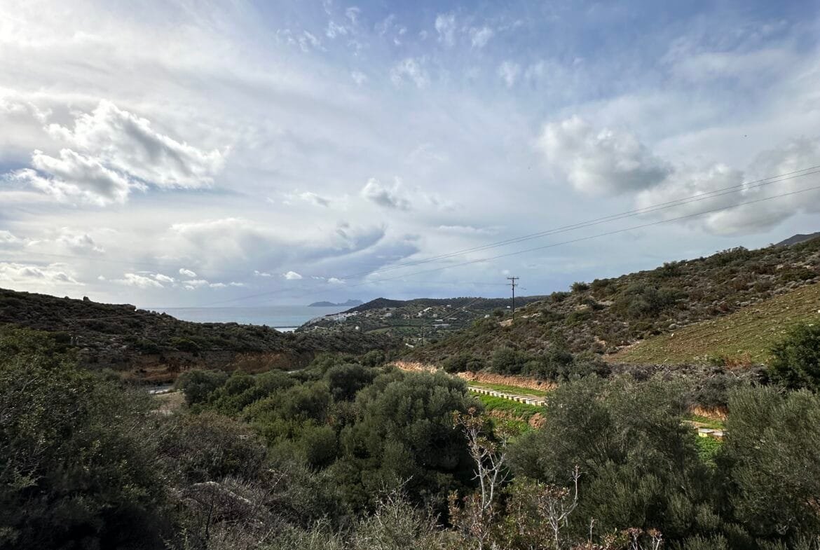 Plot of 7.145 sqm in Agia Galini.