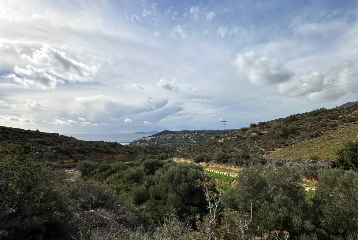 Plot of 7.145 sqm in Agia Galini.