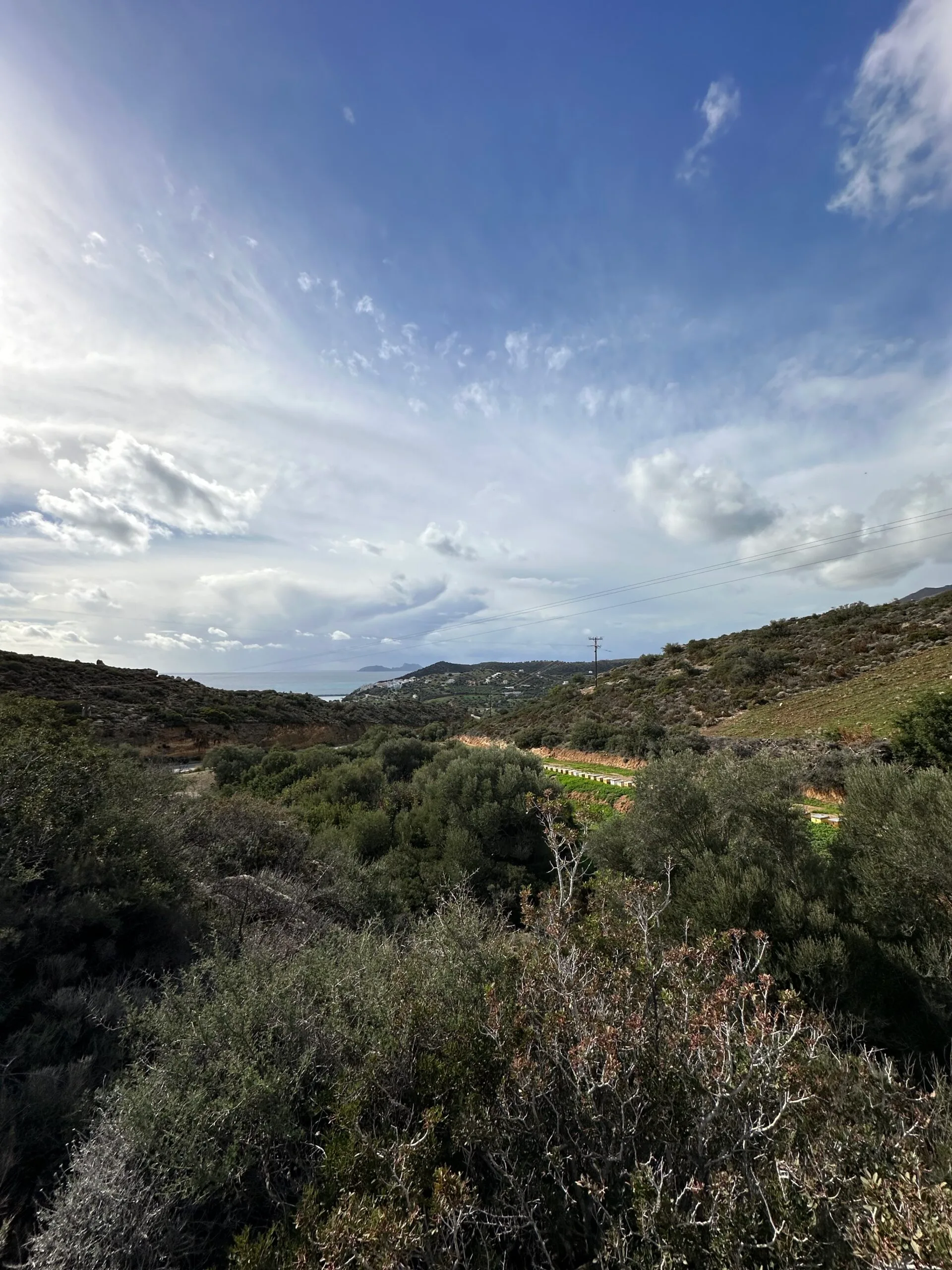 Plot of 7.145 sqm in Agia Galini.