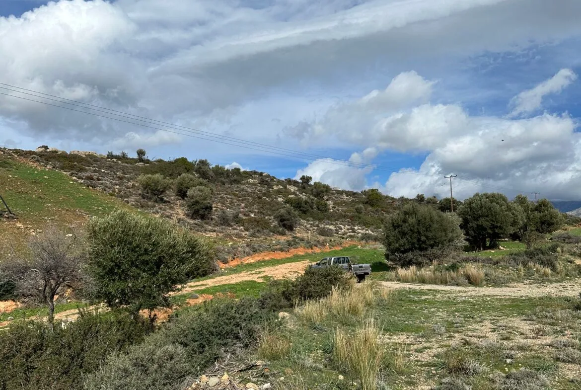 Plot of 7.145 sqm in Agia Galini.