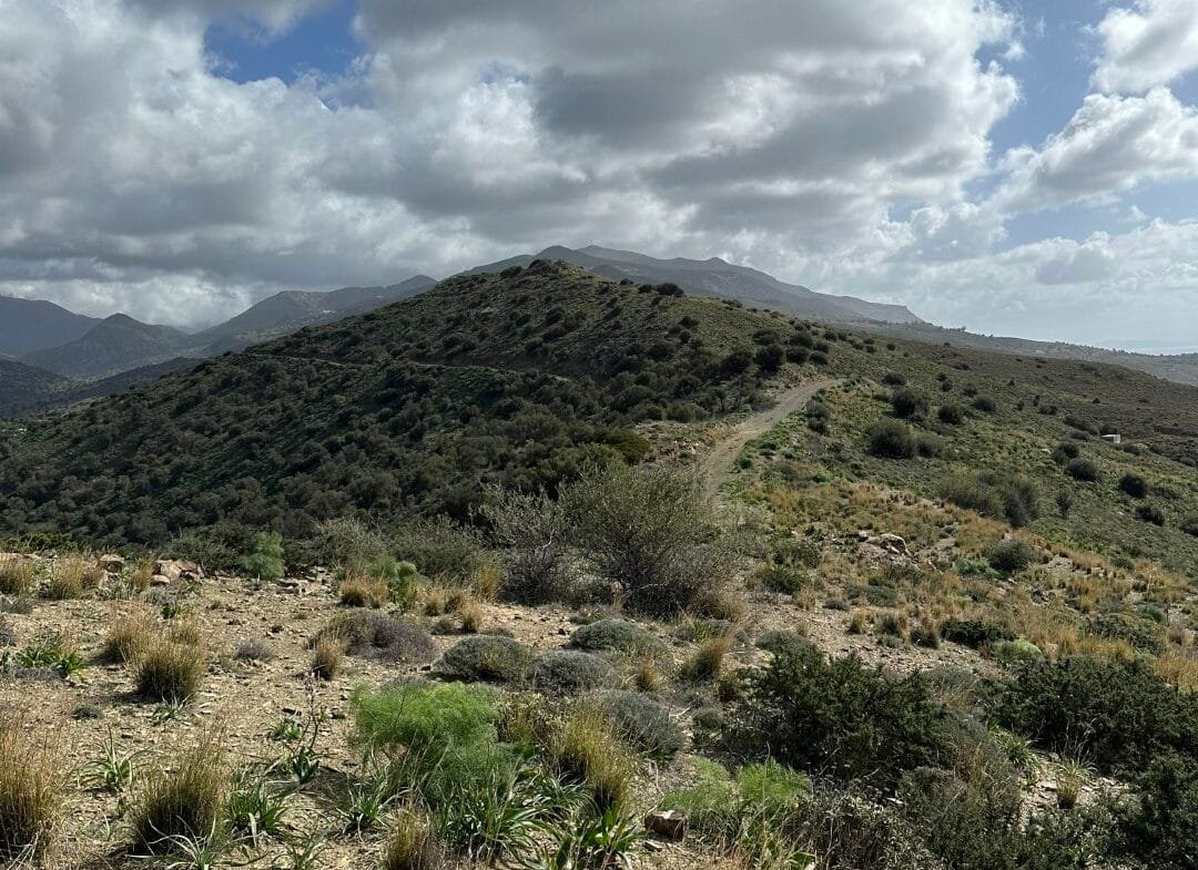 Plot of 9.806 square meters in Agios Pavlos.