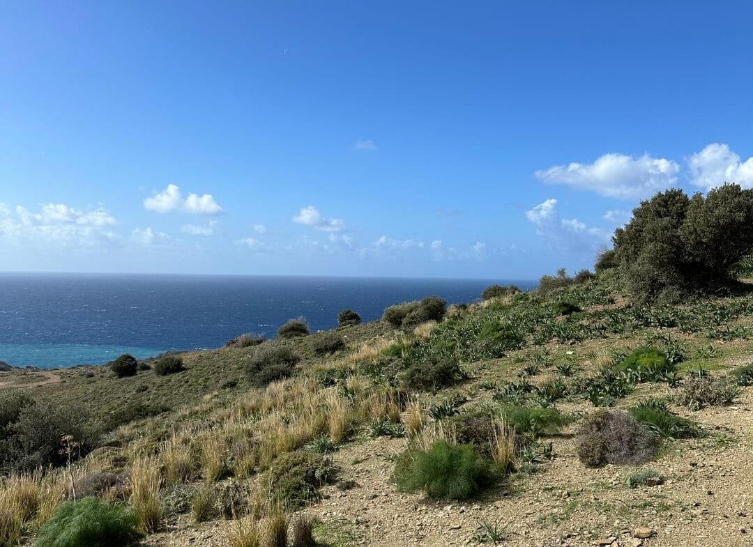 Plot of 9.806 square meters in Agios Pavlos.