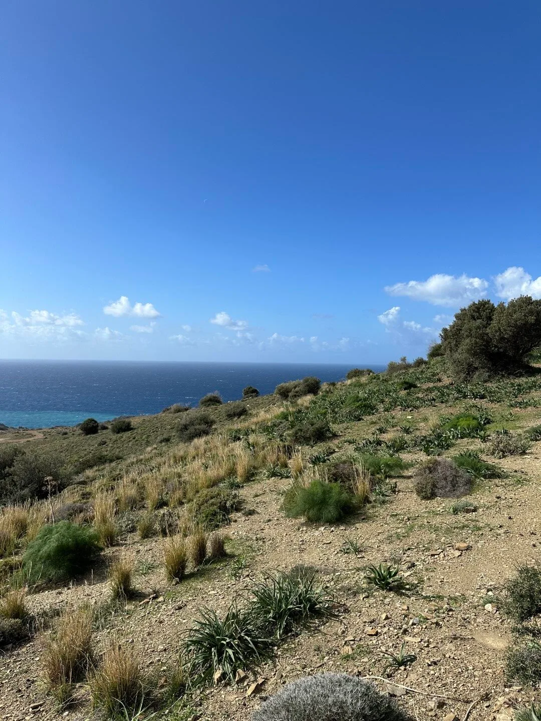 Plot of 9.806 square meters in Agios Pavlos.