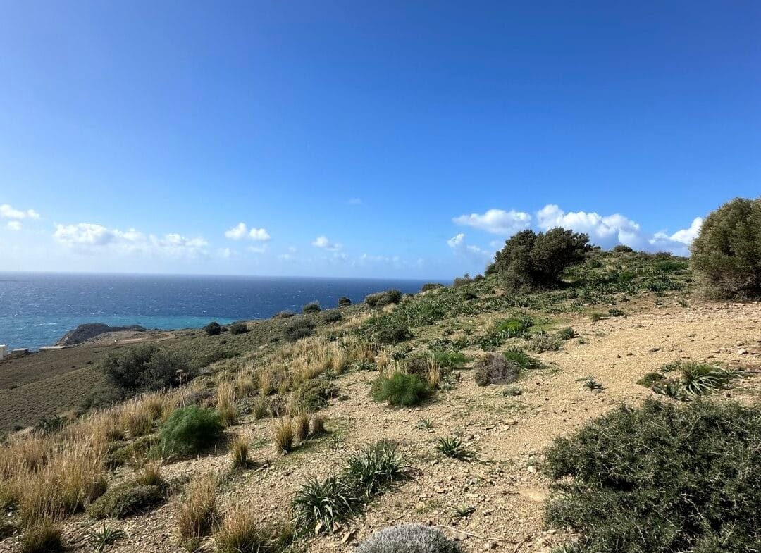 Plot of 9.806 square meters in Agios Pavlos.