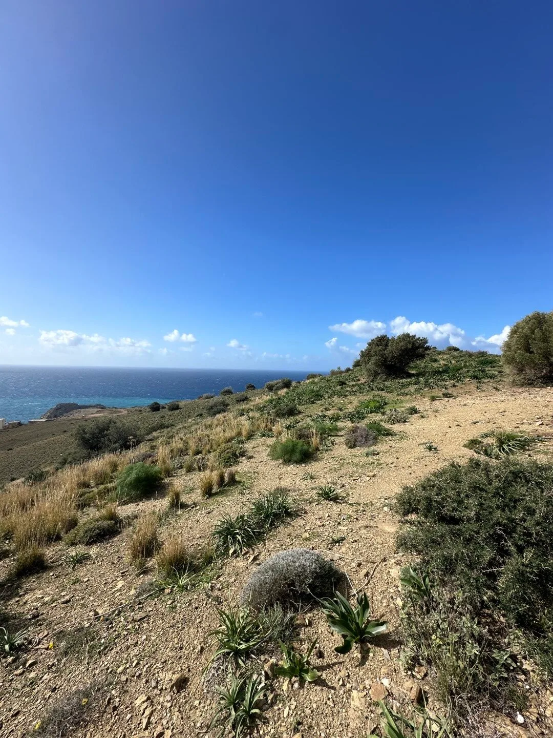 Plot of 9.806 square meters in Agios Pavlos.