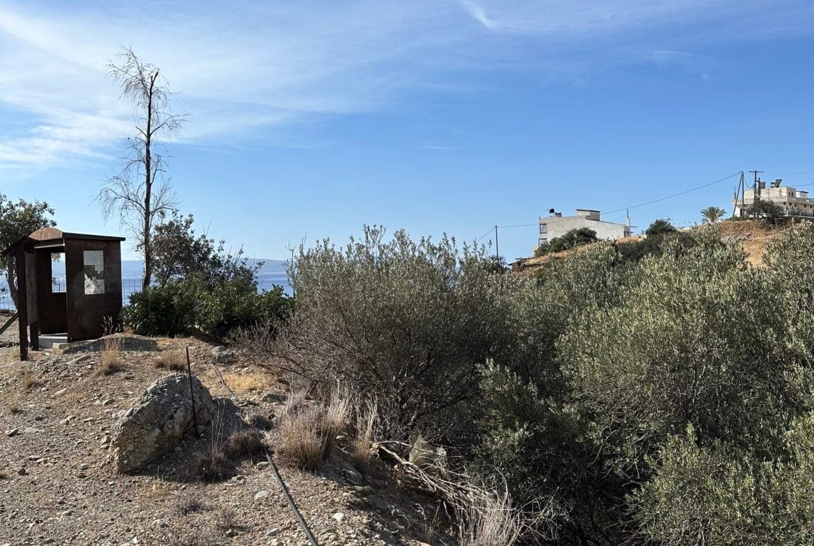 Plot of 760 sqm in Agia Galini.