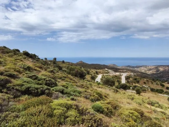 2.376m² plot in Sactouria area.