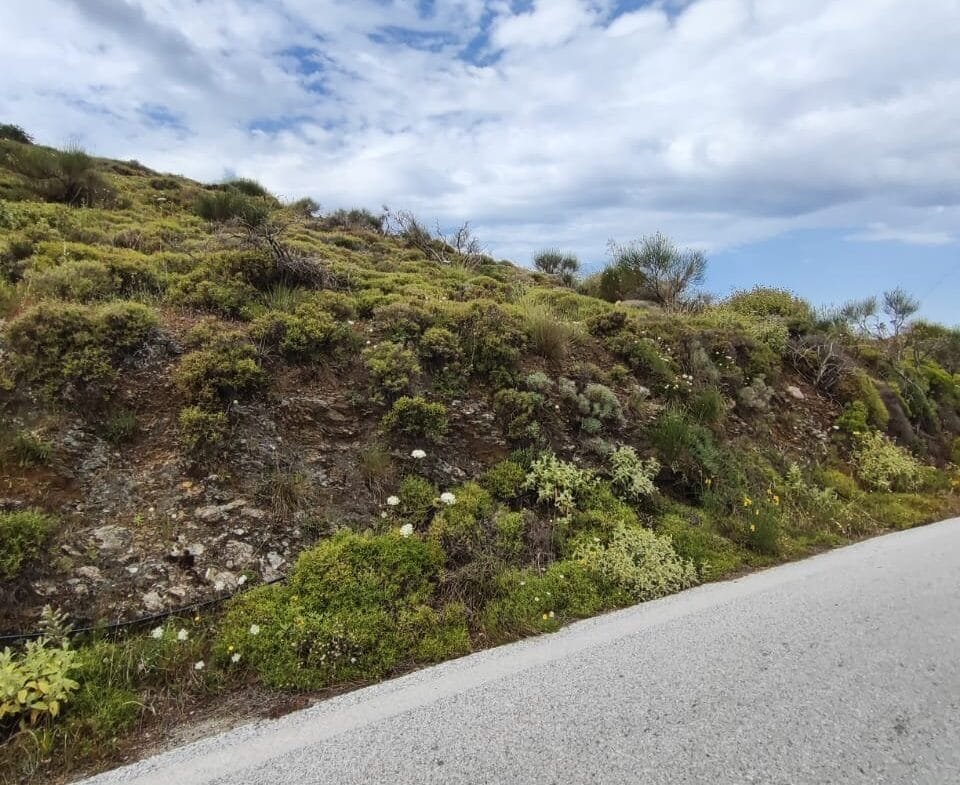 2.376m² plot in Sactouria area.