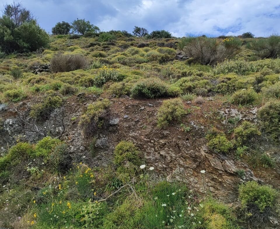 2.376m² plot in Sactouria area.